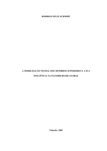 0 RODRIGO FELIX SCHMIDT A MOBILIZAÇÀO NEURAL