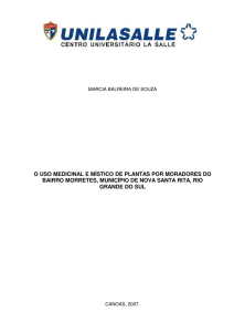 o uso medicinal e místico de plantas por moradores do bairro