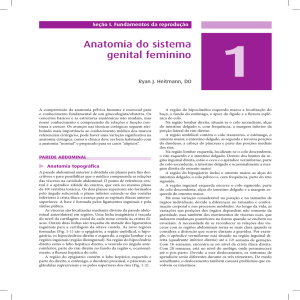 DECHERNEY - Current Ginecologia e Obstetrícia - 11ed