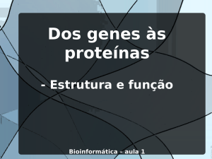 Dos genes às proteínas