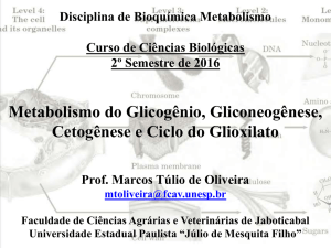 Aula 9 - Met. Glicogênio, Gliconeogênese, Cetogênese e C. Glioxilato