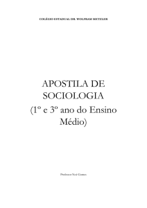 APOSTILA DE SOCIOLOGIA (1º e 3º ano do Ensino Médio)