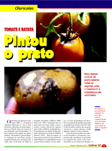 tomate e batata - Grupo Cultivar