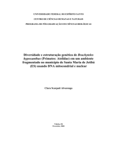 Diversidade e estruturação genética de Brachyteles