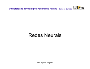 Redes Neurais