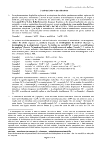 Página 1 de 5 O ciclo de Krebs ou do ácido cítrico