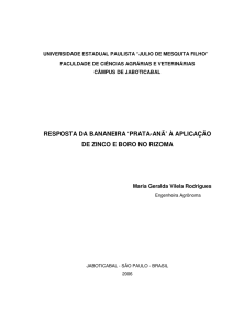 resposta da bananeira `prata-anã` à aplicação de