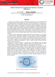 2010Modelagem Matemática e Aplicações P-IC Solução