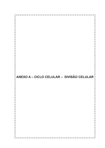 anexo a – ciclo celular – divisão celular