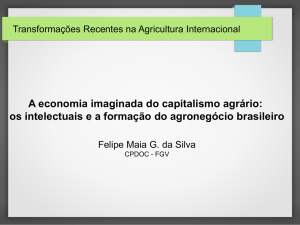 A economia imaginada do capitalismo agrário