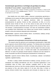 Caracterização agronômica e morfológica de genótipos de cabaça.