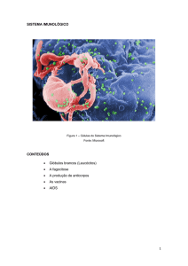 Tema 10_Sistema imunológico