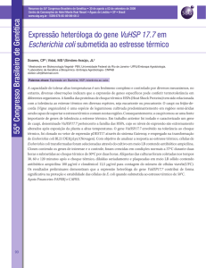 Expressão heteróloga do gene VuHSP 17.7 em Escherichia coli