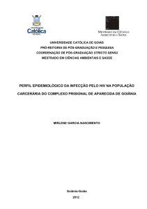 perfil epidemiológico da infecção pelo hiv na