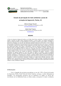 Estudo da percepção do meio ambiente a praia de armação do