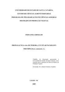 Propagação in vitro de pereira, cultivar packham`s - udesc