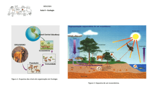 BIOLOGIA Aula II – Ecologia Figura 1. Esquema dos níveis de
