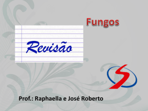 Prof.: Raphaella e José Roberto