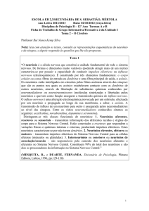 Ficha de Trabalho de Grupo 3 O neur&oacute;nio 2012