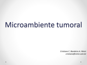 Microambiente tumoral: o papel dos fibroblastos, macrófagos e da