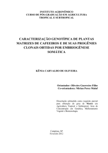 Caracterização genotípica de plantas matrizes de cafeeiros e