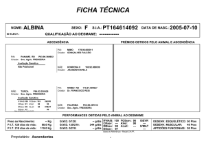 Ficha Técnica