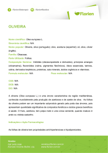 oliveira - Florien
