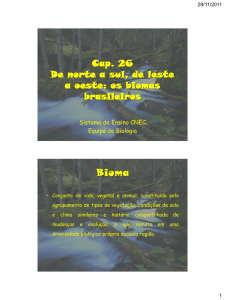 Biomas brasileiros 1,3 MB