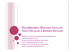 relembrando: biologia celular, ciclo celular e divisão celular