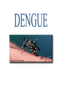 Cuidado com a Dengue