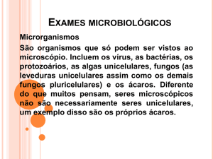 Exames microbiológicos