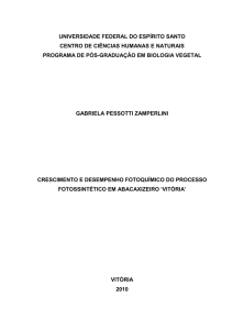 Dissertação - Gabriela Pessotti Zamperlini - Pró