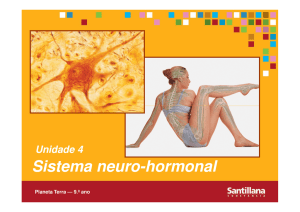 Sistema neuro-hormonal