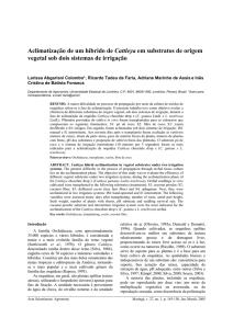 Aclimatização de um híbrido de Cattleya em substratos de origem