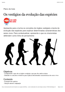 Os vestígios da evolução das espécies