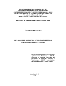 secretaria de estado da saúde- ses -sp coordenadoria de