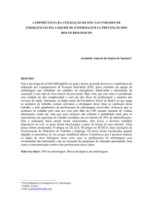 A IMPORTÂNCIA DA UTILIZAÇÃO DE EPIs NAS UNIDADES DE