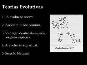 Teorias Evolutivas