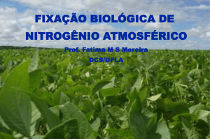 fixação biológica de nitrogênio atmosférico - DCS