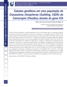 Estudos genéticos em uma população de Crassostrea rhizophorae