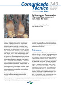 As Doenças do Tapeinóquilos (Tapeinochilos ananassae) - Infoteca-e