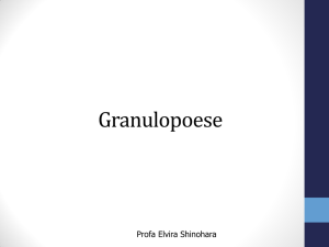 Granulopoese - Stoa Social