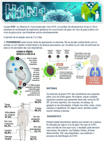 H1N1 - METASEG Consultoria e Treinamentos