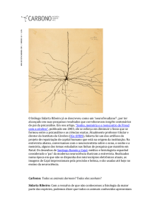 Baixar o artigo em formato PDF