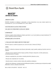 MODELO DE BULA DO PRODUTO MAXCEF (cloridrato de cefepima)