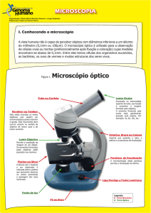 Figura 1. Microscópio óptico - Genoma