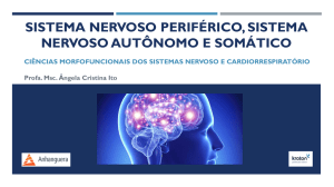 Sistema nervoso periférico, sistema nervoso autônomo e somático