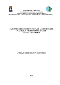 CARACTERÍSTICAS FITOTÉCNICAS E ANATÔMICAS