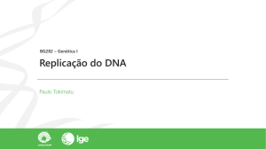 DNA polimerase - lge (unicamp)