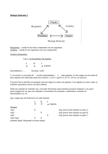 Biologia Molecular I - mit